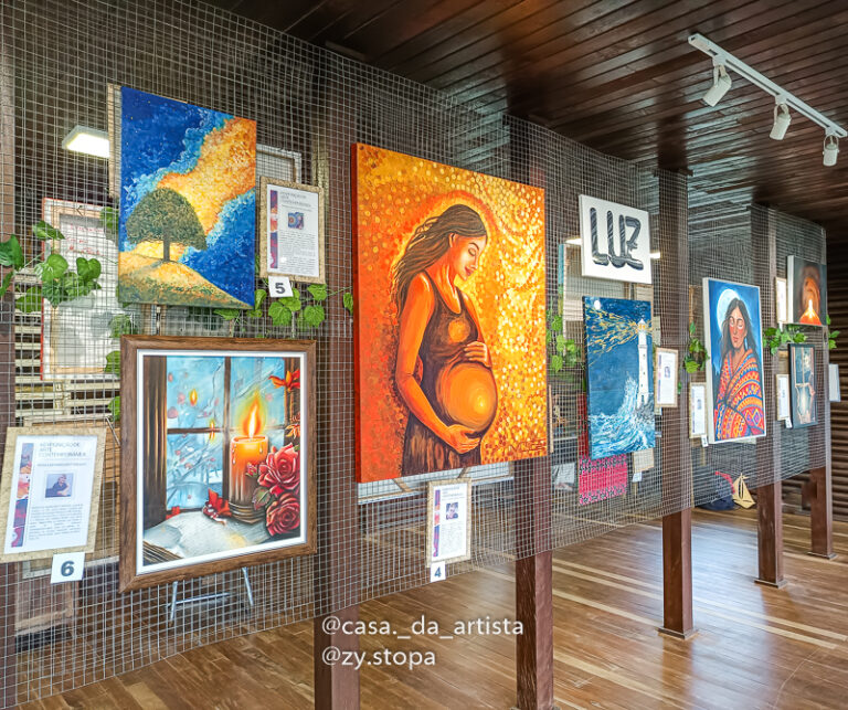 Artista Plastica ZyStopa, Aula de Pintura em tela em Barra Velha-18