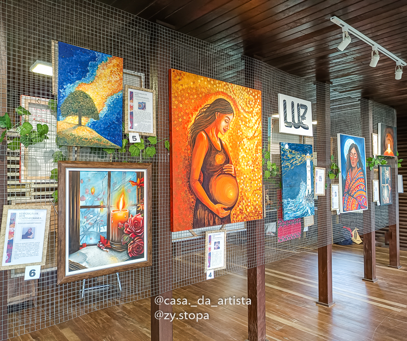 Artista Plastica ZyStopa, Aula de Pintura em tela em Barra Velha-18