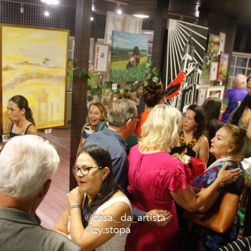 Casa da Artista plastica ZyStopa Aula de Pintira em Barra Velha erramento Exposição LUZ_-57